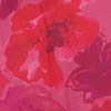 CALLUNA DRESS | MAGENTA PAINTED FLORAL - Image 6
