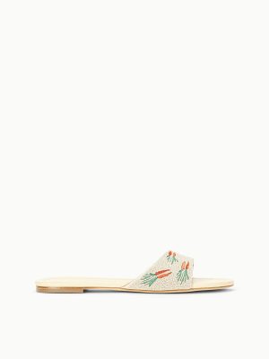 GRACIE FLAT | CARROT CAKE